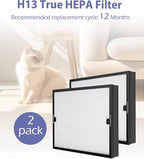 BD-AS-550 Air Scrubber Stage 2 Replacement Filter Compatible with BlueDri, VEVOR and Dri-Eaz Scrubber Air Purifier, for F301H, True HEPA H13 Filter of 16 x 19 x 2 inches（2 Pack）