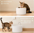 Ceramic Cat Water Fountain, 2.2L/74oz Pet Water Fountain for Cats and Dogs, Automatic Pet Drinking Fountain with Pump, Filter & Foam (White)
