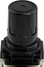 SNS AR4000-N04 Female Thread 1/2 NPT Air Pressure Regulator 0-150 PSI Adjustable,Bracket,Gauge