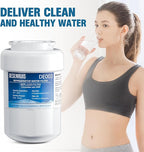 Water Filter Replacement Compatible with GE MWF, SmartWater MWFP, MWFA, GWF, HDX FMG-1, WFC1201, RWF1060, 197D6321P006, Kenmore 9991, Pack of 2, By DESENRUIS