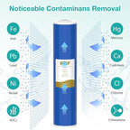 SimPure Whole House Water Filter Cartridges 20" x 4.5" GAC/KDF Carbon and Heavy Metal Filter, For DB20P, WHB20, FG25B-KS, WGB32B-KS, ‎FLTWH2045K, 4 Pack