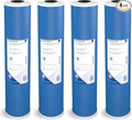 Pentair Pentek GAC-20BB Big Blue Carbon Water Filter, 20-Inch, Heavy Duty Granular Activated Carbon (GAC) Replacement Cartridge, 20" x 4.5", Pack of 4