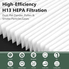 Air400 Replacement Filter for Bissell Air400, 2 H13 True HEPA and 1 Activated Carbon Pack with 8 Pre-Filter, Compared to Part #2521,2520,3365