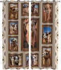 2 Panel Kitchen Cafe Curtains, Desert Camels Sunlight Filtering Nature Air Through, Home Decor Window Covering Tier Curtains for Living Room 104W x 96L inch Western Wildlife Brown Animals Country