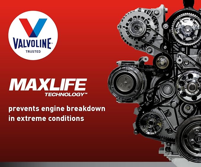 Valvoline Full Synthetic High Mileage with MaxLife Technology SAE 10W-30 Motor Oil 5 QT (Pack of 2)