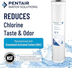 Pentair Pentek RFC-BB Big Blue Carbon Water Filter, 10-Inch, Whole House Heavy Duty Radial Flow Carbon Replacement Cartridge with Granular Activated Carbon (GAC) Filter, 10" x 4.5", 25 Micron