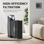 Filter B Smoke Clear HEPA Replacement Compatible with AC4825 AC4300 AC4800 AC4900 AC4850, 2 True HEPA Filters & 6 Activated Carbon Pre-Filters, FLT4825SM, Black/Gray