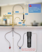 Fapully Commercial 3 Way Kitchen Faucets with Pull Down Sprayer and Water Filler,3 in 1 Kitchen Sink Faucet with Drinking Water Faucet Brushed Gold