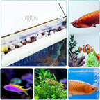 Aquarium Ceramic Ring 420g Bio Ceramic Media Ring for Aquarium Filter Replacement Biological Material Remover for Aquarium Fish Tank Pond Filter