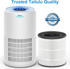 Tailulu 2 Packs D09 Air Purifier Replacement Filter, 3-in-1 True H13 True HEPA Air Cleaner Purifier for Home Large Room Up to 1680 Sq Ft