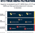 HATHASPACE HSP002 H13 True HEPA Filter Replacement, 4-Stage Air Purifier Filter with Activated Carbon, Zeolite, Pre-Filter & Cold Catalyst, Captures Dust, Smoke, Odors, VOCs, Easy to Install, 1 Pack