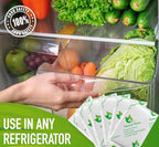 Fresh Flow Produce Preserver Refill Kit 3-Pack (6 Packets Total)