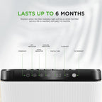 Nutrichef Replacement Composter Filter - Replace Your Nutrichef Electric Kitchen Compost Filter | Optimal Replacement Every 3-6 Months | Easy Installation | Activated Charcoal Refills
