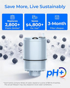 [Alkaline] Waterdrop NSF Certified Water Filter, Replacement for All PUR®, PUR®PLUS Faucet Filtration Systems, Pur® RF-9999® Faucet Water Filter (2 Count), Model No.: WD-C08A