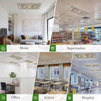 Fluorescent Light Covers for Ceiling Lights Shell Conch Magnetic Light Filters 1 Pack 4x2 ft Vintage Ocean Marine Life Ceiling Lights Cover for Classroom Office School Home Drop Lamp Decor