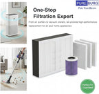 PUREBURG Replacement Filter Compatible with Dhyala KJ02 Air Purifier,2-Pack HEPA Activated Carbon 2-in-1 & 4 Pre-Filters For Air Clean Dust VOCs Odor 3-Stage Filtration