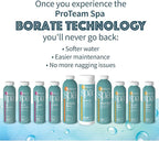 SplashWiz Proteam Spa Filter Clean - Spa Filter Cleaner for hot tub - Hot tub Filter Cleaner Soaking Solution Hot Tub Chemicals Care Guide - Made in USA (1 pt)