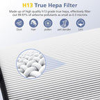 Upgraded 2-in-1 Replacement Filter Compatible with Dyson HP1 PC1 TP07 TP10 HP10 TP06 HP06 TP04 HP04 PH01 PH02 PH03 HP09 TP09 HP07 Air Purifier, 360°Combi Glass H13 True Hepa+ Activated Carbon Filter