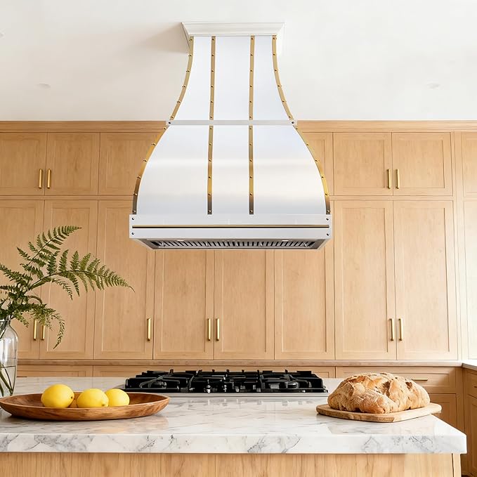 CHETTO C Stainless Steel Range Hood Cover with 4-Speed Vent Hood Insert Custom Handcrafted Metal Kitchen Fan with Towel Rack LED Light 60"W x27"D x39"H White Island Mount