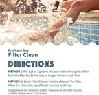 SplashWiz Proteam Spa Filter Clean - Spa Filter Cleaner for hot tub - Hot tub Filter Cleaner Soaking Solution Hot Tub Chemicals Care Guide - Made in USA (1 pt)