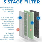 Medify MA-125 Genuine Replacement Filter Set for Allergens, Smoke, Wildfires, Dust, Odors, Pollen, Pet Dander | 3 in 1 with Pre-filter, HEPA H14 and Activated Carbon | Removal to 0.1 Microns | 1-Pack