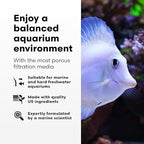 Brightwell Aquatics - Xport-BIO Block Aquarium Filter - Biological Filtration Media for Bacteria Growth, Nutrient Control & Control of Unwanted Nutrients - Aquarium Water Treatments, 8 Pack, 1.5 inch