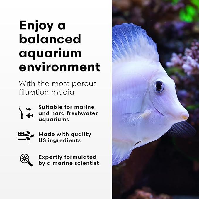 Brightwell Aquatics - Xport-BIO Block Aquarium Filter - Biological Filtration Media for Bacteria Growth, Nutrient Control and Control of Other Unwanted Nutrients - Aquarium Treatments, 12Pack, 1.5inch
