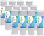 CFS – Carbon Block Water Filter Cartridge Compatible with Flow-Pur 8, WCBCS-975-RV Models – Removes Bad Taste and Odor (Pack of 12)