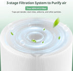 2 Pack 211i Max Replacement Filter Compatible with BLUEAIR Blue Pure 211i Max Air Purifier, Ture HEPA & Activated Carbon Replacement Filter