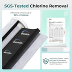 iSpring WGB21B-KS 2-Stage Whole House Water Filtration System with 10" x 4.5" Sediment CTO(Chlorine, Taste and Odor) Filter,KDF+GAC filter, Removes Chlorine, Iron, Lead, Odor and More, 1" Inlet/Outlet