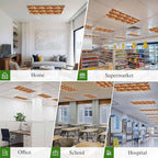 Tropical Plant Cactus Fluorescent Light Covers 1 Pack Western Cowboy Horse Sunset Deserts Brown Magnetic Fluorescent Ceiling Lights Filters for Office Classroom Home Drop Ceiling 4x2 Feet