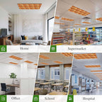 Tropical Plant Cactus Fluorescent Light Covers 3 Pack Western Cowboy Horse Sunset Deserts Orange Magnetic Fluorescent Ceiling Lights Filters for Office Classroom Home Drop Ceiling 4x2 Feet