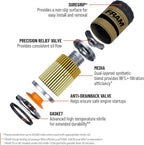 FRAM Ultra Synthetic Automotive Replacement Oil Filter, Designed for Synthetic Oil Changes Lasting up to 20k Miles, XG10060 with SureGrip (Pack of 2)
