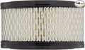 Replacement Paper element for air compressor REPLACES CAMPBELL HAUSFELD STO739-03 & STO739-03AU CHAMPION P5050A CURTIS VA1118 GARDNER DENVER 2109945 INGERSOL RAND 32170979 SULLAIR 243196 (144 PACK)