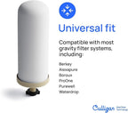 Culligan MaxClear 7” Gravity Water Filter Replacement Compatible with ProOne & Berkey Water Filter Systems, Ceramic & Carbon Filter NSF/ANSI Certified, Reduce Total PFAS, Microplastics & Lead, 6-Pack