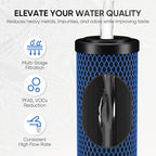 1 Micron 2.5" x 10" Whole House CTO Carbon Water Filter Cartridge Replacement for Under Sink Water Filter System, Dupont WFPFC8002, WFPFC9001, FXWTC, SCWH-5, WHEF-WHWC, WHCF-WHWC, AMZN-SCWH-5,2Pack