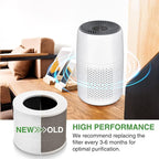 Core Mini Replacement Filter Compatible with LEVOIT Core Mini Air Purifier,Core Mini-P, Replace Part #Core Mini-RF, 2 Filter & 10 Fragrance Sponge