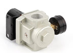 SNS Air Compressor Pressure Regulator With Bracket and Gauge Female Thread 1'' NPT 0-150 PSI Adjustable AR5000-N10