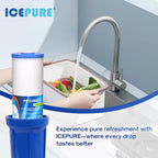 ICEPURE 5 Micron 20" x 4.5" Whole House Sediment and Carbon Water Filter Replacement Cartridge for AP810-2, SP-DD-5005-20BB, DGD-5005-20, FPMB5-20, P5-20BB, FP25B, SDG-45-2005, CMMF0520-45W1, 3PACK
