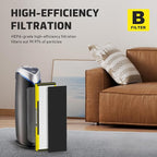 2 Packs FLT4825 HEPA Replacement Filter B Compatible with AC4825 AC4825E AC4300 AC4800 AC4900 AC4850, 2 True HEPA Filters & 6 Activated Carbon Pre-Filters