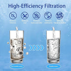 【Upgraded】Renami Ceramic Filter Silver Infused Replacement for BB9-2® Black Activated Carbon Filters, Compatible with Berkey® Travel, Large, Royal, Crown Series, Repeatable Cleaning Filters, Pack of 4