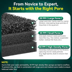 Borlech Aquarium Bio Filter Sponge Pad - Cut-to-Size Aquarium Filter Media for Fish Tank, Pond, Sump - Mechanical & Biological Filtration (18.5"x18.5"x0.8", 50PPI, 2 Pack)