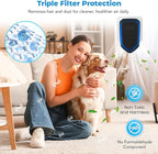 Air Ionizers Plug In Negative Ion Air Purifiers Quiet Air Freshener for Home Bedroom Office Basement - Portable Mini Air Cleaner Odor, Smoke, Dust, Pet Smell (6, Black)