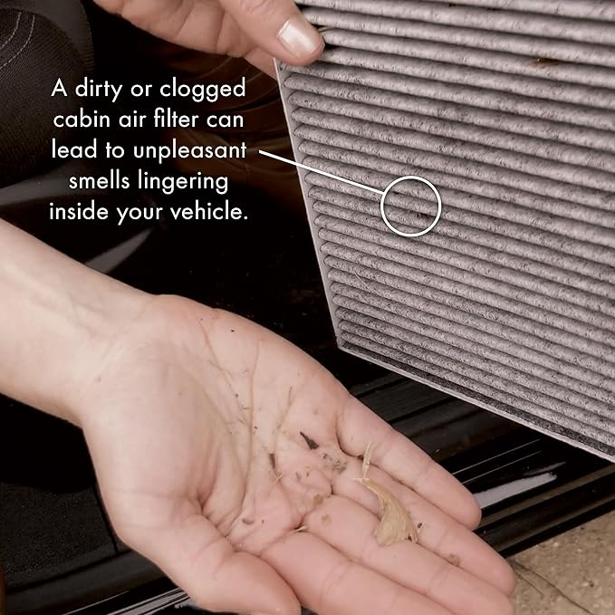 Pureflow Cabin Air Filter PC99525X | Fits 2020-2023 Hyundai Palisade