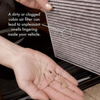 Pureflow Cabin Air Filter PC99525X | Fits 2020-2023 Hyundai Palisade