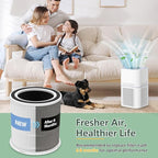 AP301 AP302 HEPA filter Replacement, ONLY for Dayette AP301 AP302 Air Purifier, NOT FOR AP401 AP402 Air Purifiers