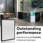Leemone EverestAir Replacement Filter for LEVOIT EverestAir/EverestAir-P Air Purifier, True HEPA, High Efficiency Granules Activated Carbon, EverestAir-RF, 2 Pack