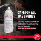 Sea Foam Motor Treatment and Intake Cleaner Combo Pack, SF-SS, 16 oz and 14 oz