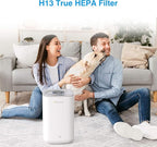 Air Purifier Replacement, C350-RF True HEPA High-Efficiency Activated Carbon Filter Fits for C350 (2 Pack)