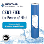 Pentair OMNIFilter GAC1 Carbon Water Filter, 10-Inch, Under Sink Granular Activated Carbon Replacement Cartridge, 10" x 2.5", 20 Micron, White
